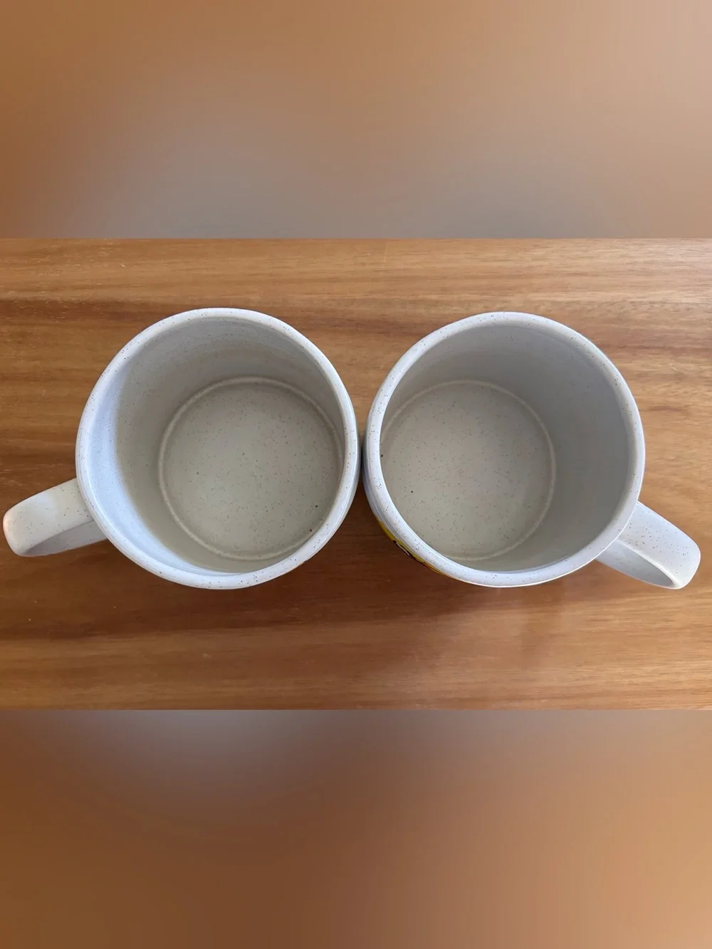 West Elm Speckled Pottery Ribbed Textured Mugs with Whimsical Cat Illustrations